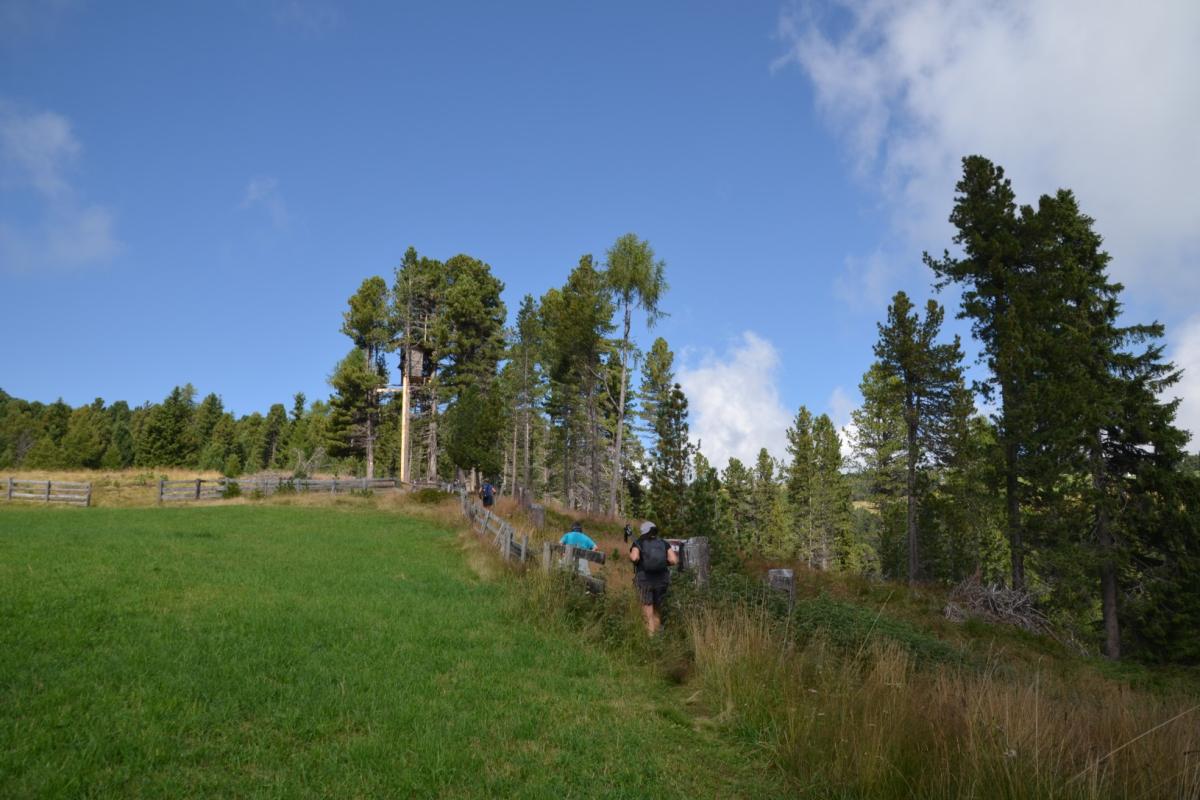 Latschenoelbrennerei 27.08.2019